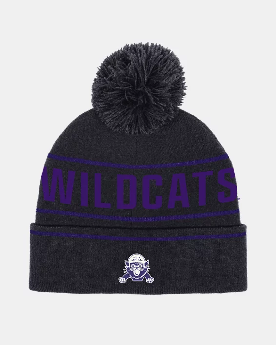 Northwestern University-005