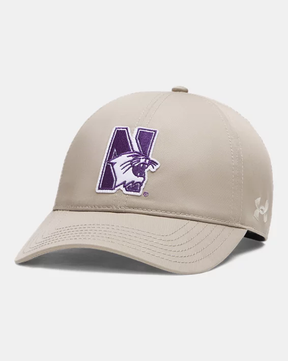 Northwestern University-500