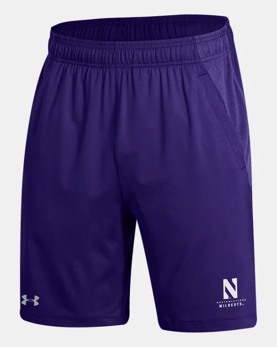 Northwestern University-500